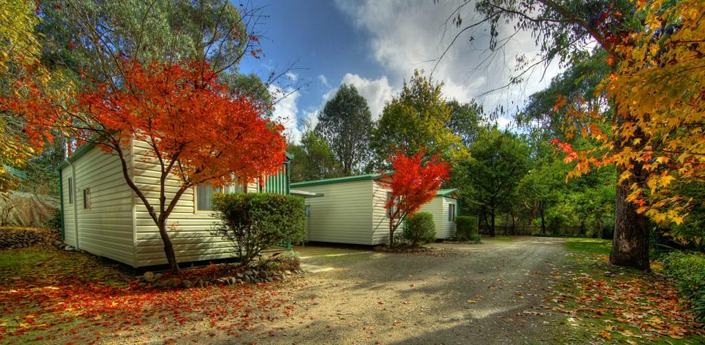 Riverview Caravan Park Porepunkah Exterior photo